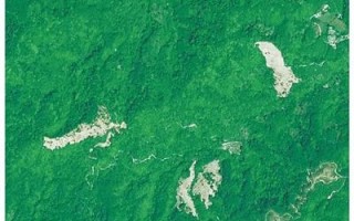 从三组卫星遥感图看生态保护成效