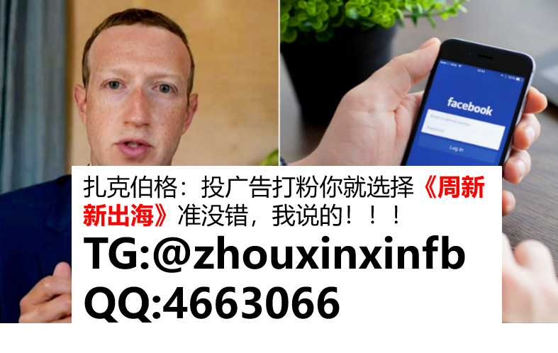 欧洲币粉